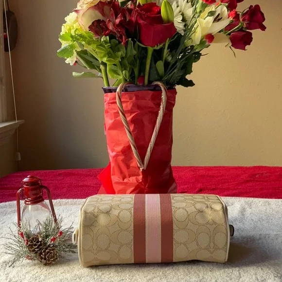 🎄 COACH DEMPSEY BOXY COSMETIC CASE 🎄 - Picture 6 of 16